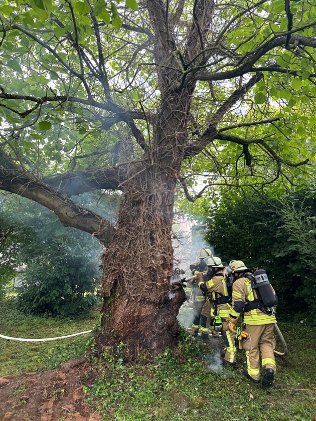 FW Weinheim: Baumbrand im Kastanienweg erfordert aufwendigen Löscheinsatz