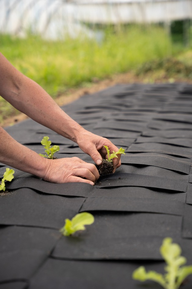 James Dyson Award 2022 : Voici les projets suisses qui ont remporté la compétition