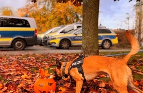 Polizeidirektion Kiel: POL-KI: 251024.1 Kiel / Kreis Plön: Die Halloween-Zeit beginnt - sichere und gruselige Tipps