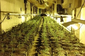 Polizei Mettmann: POL-ME: Illegale Cannabisplantage in ehemaligem Hotel entdeckt - Polizei stellt circa 1.500 Pflanzen sicher - Mettmann - 2111037