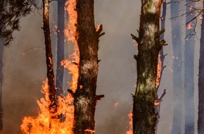 Feuerwehr Dresden: FW Dresden: Informationen zum Einsatzgeschehen von Feuerwehr und Rettungsdienst in der Landeshauptstadt Dresden vom 10. August 2026