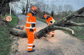 Feuerwehr Solingen: FW-SG: Sturmböen in Solingen