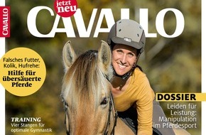 Motor Presse Stuttgart: CAVALLO ONLINE ACADEMY bietet im November geballtes Pferdewissen gebündelt auf einer Online-Plattform