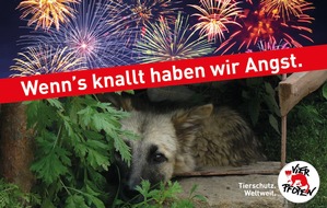 VIER PFOTEN - Stiftung für Tierschutz: Tierleid am 1. August / VIER PFOTEN warnt vor Stress für Tiere am Nationalfeiertag