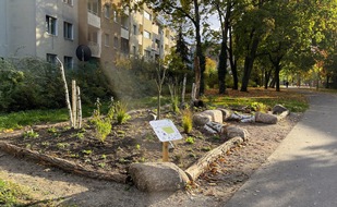 Stiftung für Mensch und Umwelt: Reinickendorf: Neuer Anreiz, Biodiversität im AVA-Kiez zu erleben ð¿ð¸ð