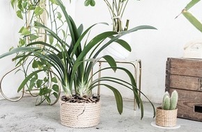 Etsy: Natur pur: Mit Etsy zum DIY-Sisalkorb