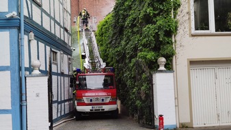 Freiwillige Feuerwehr Celle: FW Celle: Brannte begrünte Fassade