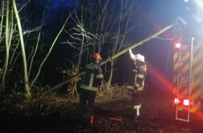 Freiwillige Feuerwehr Werne: FW-WRN: Löschgruppe Langern entfernt umgestürzten Baum