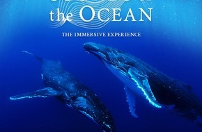 Whale & Dolphin Conservation gGmbH: Preisgekrönte Show „Sounds of the Ocean” und  Whale and Dolphin Conservation laden zu immersiver Reise ins Herz der Ozeane ein