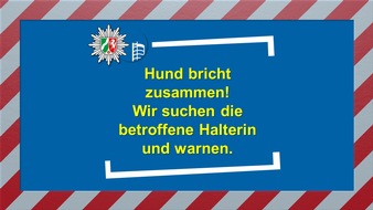 Polizeipräsidium Oberhausen: POL-OB: Hund bricht zusammen! Wir suchen die betroffene Halterin und warnen.