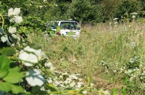 Polizeiinspektion Hameln-Pyrmont/Holzminden: POL-HM: Mit über 3,5 Promille von der Fahrbahn abgekommen - Pkw durchbrach Absperrschranke
