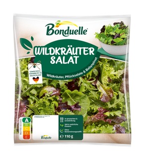 Bonduelle Fresh-Cut-Salate ab sofort mit neuem Verpackungsdesign