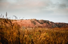 Sylt Marketing GmbH: Sylter Farbenlehre mit Aussicht