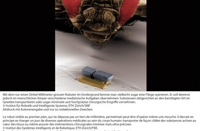 Schweizerischer Nationalfonds / Fonds national suisse: SNF: Bild der Forschung März 2011: Verbindung von Nano- und Magnetfeldtechnologie