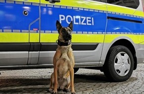 Polizei Hamburg: POL-HH: 240108-3. Diensthündin spürt Einbrecher in Hamburg-St. Georg auf - Zuführung