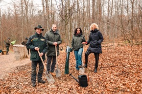 Friedhof im Wald - FriedWald R&uuml;mmingen er&ouml;ffnet