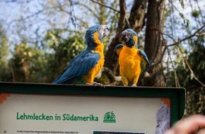Leipzig Tourismus und Marketing GmbH: Zoo Leipzig bietet neue Attraktionen: Vogelwelten Amazonien und Loriversum wurden er&ouml;ffnet