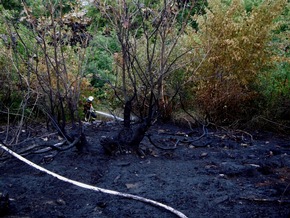 FW-EN: Großbrand im Waldgebiet am Herrentisch - Hinter dem Waldfriedhof brannten gut 1.500 qm Wald