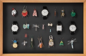NOMOS Glashütte/SA Roland Schwertner KG: Bild des Monats: Libellen, Schmetterlinge, Uhren