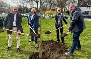 Bund deutscher Baumschulen (BdB) e.V.: Baumpflanzung im Lutherpark: BdB und MdB Katja Strauss-K&ouml;ster pflanzen Nymphenbaum in Witten