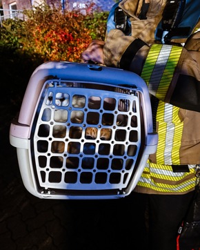 FW-DT: Zimmerbrand - 18 Personen rettungsdienstlich betreut