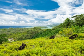 Die 10 sch&ouml;nsten Str&auml;nde auf den Inseln von Tahiti