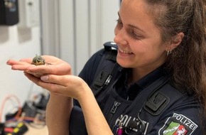 Polizei Bochum: POL-BO: Piep, Piep, Piep