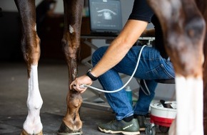 Boehringer Ingelheim: Boehringer Ingelheim bringt RenuTend(TM) auf den Markt: Eine neue Stammzelltherapie zur Verbesserung der Heilung von Sehnen- und Fesselträgerverletzungen bei Pferden