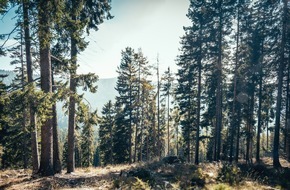 MDR Mitteldeutscher Rundfunk: Sommer im Wald: MDR startet Schwerpunktwochen &bdquo;Wald, Leben, Zukunft&ldquo; &ndash; gro&szlig;er Publikumsauftakt am 21. Juni in Thale