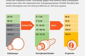 Deutsche Energie-Agentur GmbH (dena): Die 60 Watt Glühlampe geht - die Alternativen sind schon da / Initiative EnergieEffizienz: Bis zu 80 Prozent Einsparung durch Energiesparlampen und LED. (mit Bild)