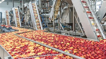 Deutsches Tiefkühlinstitut e.V.: Pilotprojekt "Check Food Waste" zeigt: Kaum Lebensmittelverluste in der Tiefkühlwirtschaft / Blaupause für die Lebensmittelindustrie - dti setzt auf Freiwilligkeit