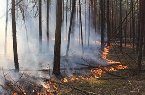 NABU: NABU: Zwanzig Prozent der ukrainischen Naturschutzgebiete bereits zerstört / Brände, Minen und Wilderei bedrohen seltene Arten im Kriegsgebiet