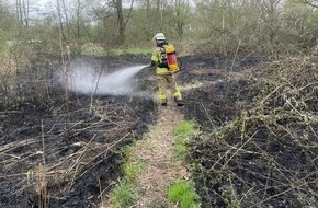 Feuerwehr Bremerhaven: FW Bremerhaven: Feuerwehr Bremerhaven löscht Vegetationsbrand im Forst Reinkenheide