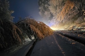 Freiwillige Feuerwehr Horn-Bad Meinberg: FW Horn-Bad Meinberg: Nächtlicher Schneefall lässt Bäume umstürzen und Äste abknicken - Feuerwehr im Dauereinsatz