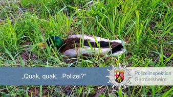 Polizeidirektion Landau: POL-PDLD: Ente, Ente, Ente...Einsatz!