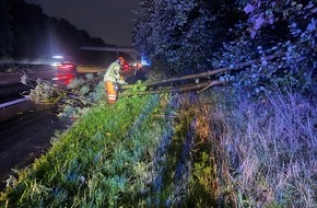 Freiwillige Feuerwehr Alpen: FW Alpen: Baum auf Fahrbahn