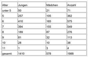 Landesfeuerwehrverband Sachsen e.V.: LFV-Sachsen: Jahreserhebung 2022 in der JF Sachsen