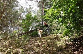 Polizeiinspektion Lüneburg/Lüchow-Dannenberg/Uelzen: POL-LG: ++ Suche nach vermisstem Senior erfolgreich ++ DRK-Rettungshundestaffel findet Mann nach mehrstündiger Suche ++