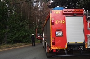 Feuerwehr Detmold: FW-DT: Baum droht zu fallen