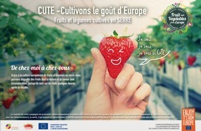 Fruit Vegetables Europe: AOPn Fraises de France, moteur d'innovation