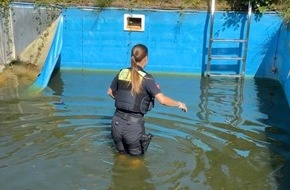 Polizeiinspektion Diepholz: POL-DH: Stuhr - Polizei rettet vier Entenk&uuml;ken aus Pool