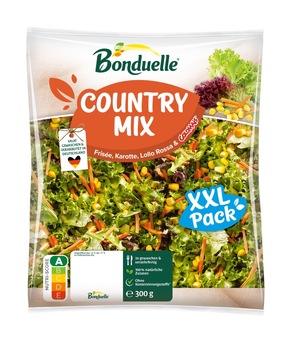Bonduelle Fresh-Cut-Salate ab sofort mit neuem Verpackungsdesign