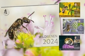 Bienenschutzinitiative Deutschland summt! bietet ab 2024 Club