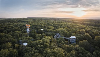 PM der TTG 34-2025 Zwischen Himmel und Hainich: Thüringens Baumkronenpfad feiert Jubiläum