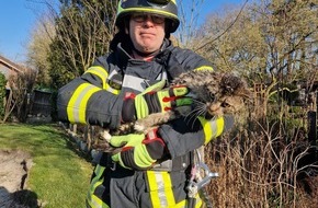 Freiwillige Feuerwehr Samtgemeinde Fredenbeck: FFW Fredenbeck: Katze erfolgreich gerettet