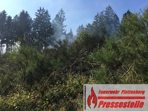 FW-PL: 2500 Quadratmeter Waldbrand. Leiche bei Löscharbeiten entdeckt. Paralleleinsatz durch Brandmeldeanlage.
