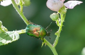 F&uuml;rstentum Liechtenstein: Erfolgreiches Citizen Science Projekt wird fortgesetzt und erweitert