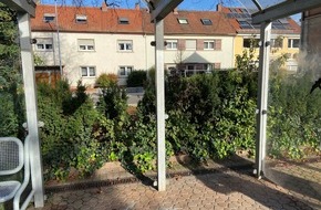 Polizeidirektion Ludwigshafen: POL-PDLU: Zwei eingeschlagene Glasscheiben am Bahnhof in Lambsheim