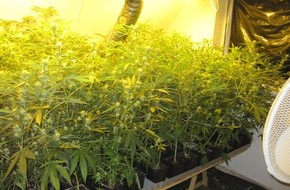 Polizeidirektion Göttingen: POL-GOE: (493/2010) Hanfplantage auf Dachboden