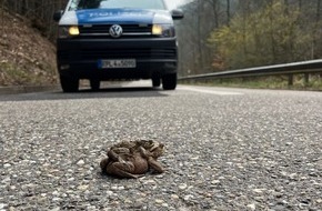 Polizeidirektion Landau: POL-PDLD: St. Martin - Geschwindigkeitskontrolle